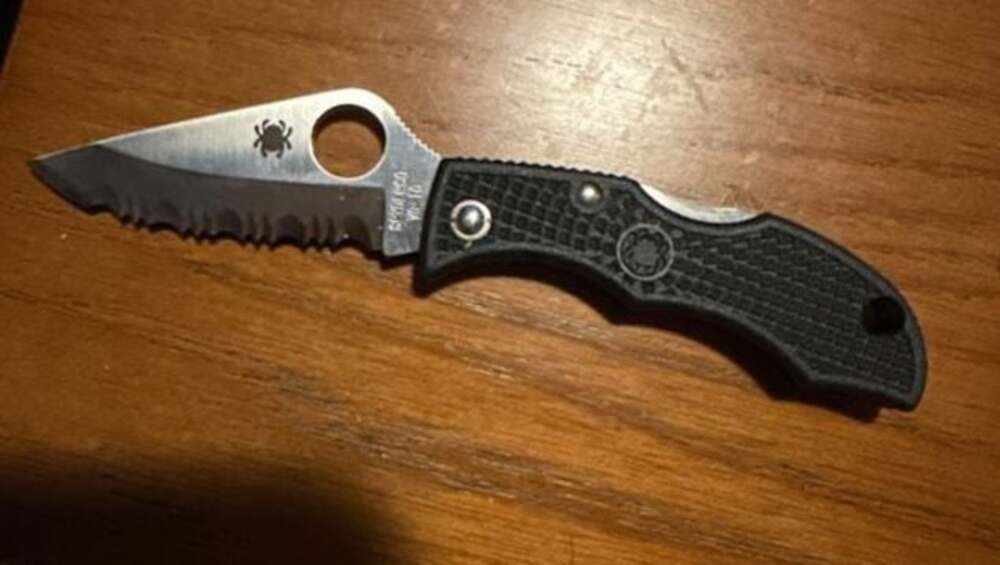 Spyderco Dragonfly 2 Lightweight Serrated Folding Knife
